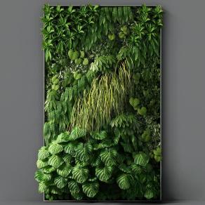 现代植物 盆栽 户外花草 墙挂植物 绿植